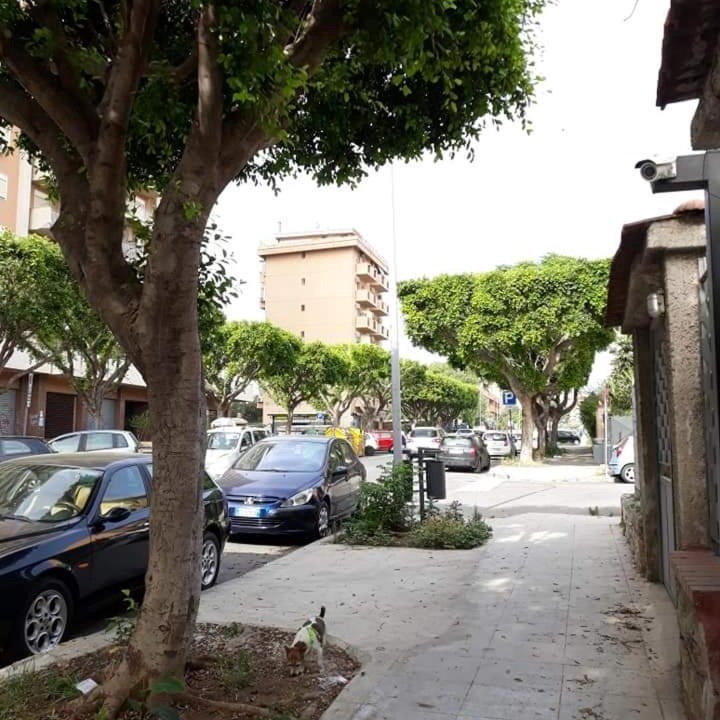 Photo of Others in Palermo