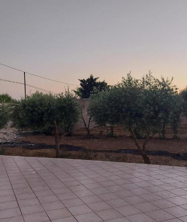 Photo of Outdoor in Mazara del Vallo