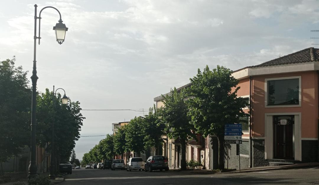 Photo of Others in Milo