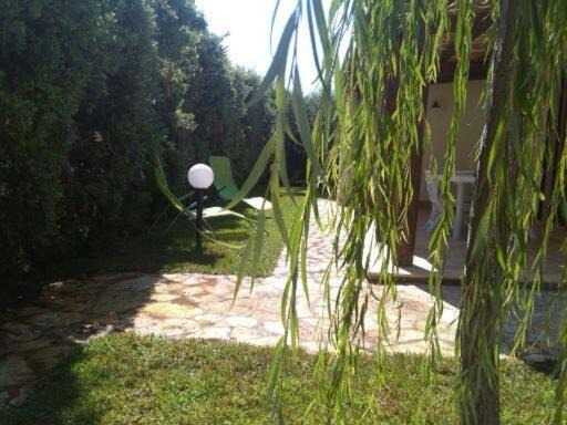 Photo of Others in Marsala