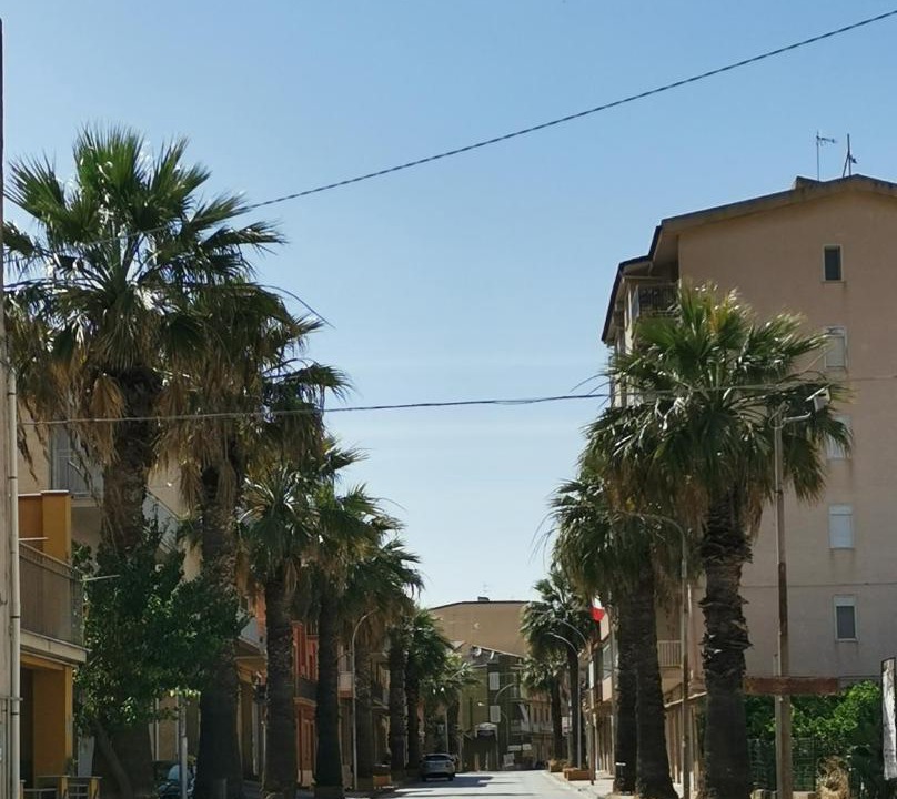 Photo of Others in Aragona