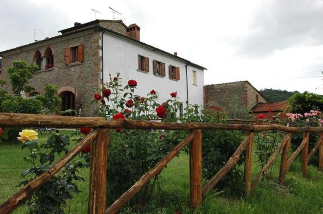 Photo of Others in Pieve al Bagnoro