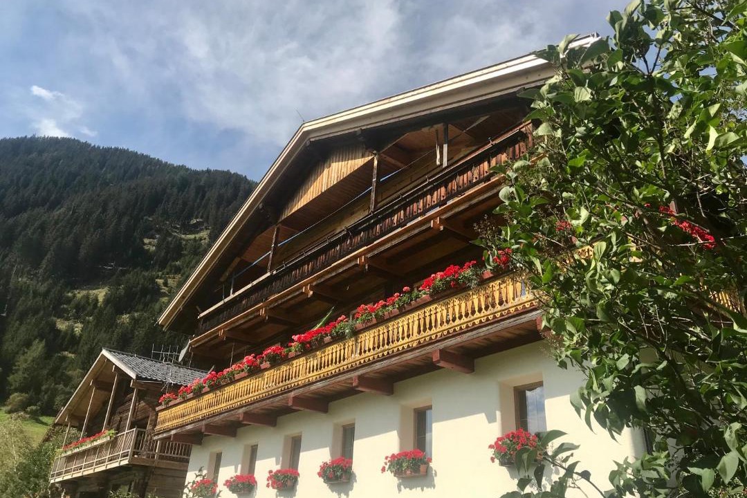Photo of Others in San Martino