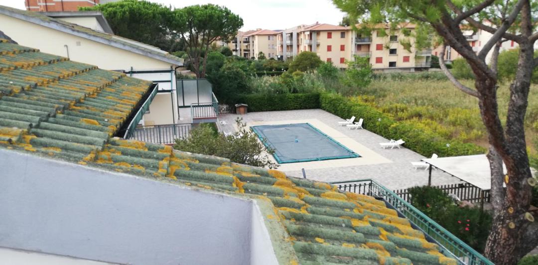 Photo of Others in Follonica