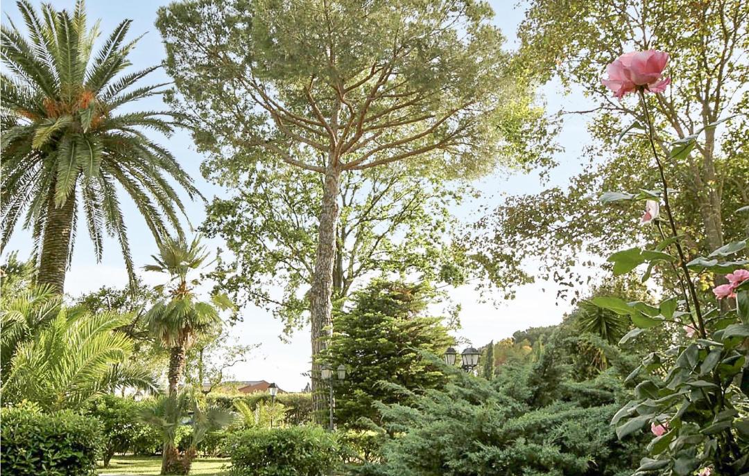 Photo of Outdoor in Tor San Lorenzo