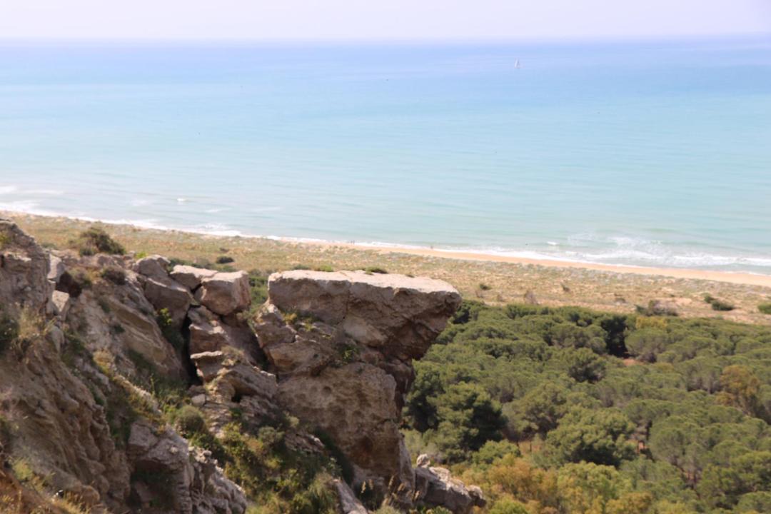 Photo of Others in Siculiana
