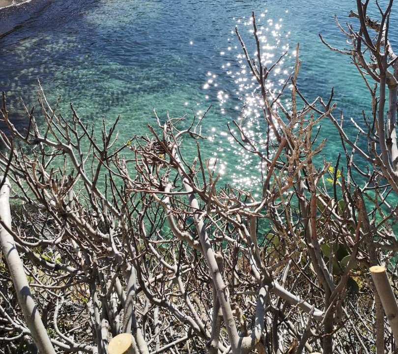 Photo of Others in Terrasini
