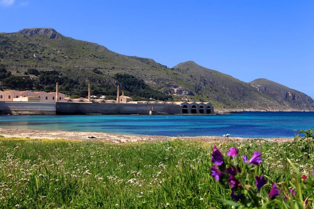 Photo of Others in Favignana