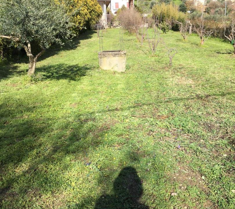 Photo of Others in Montelepre