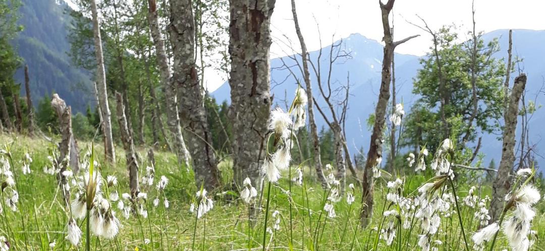 Photo of Others in Anterselva