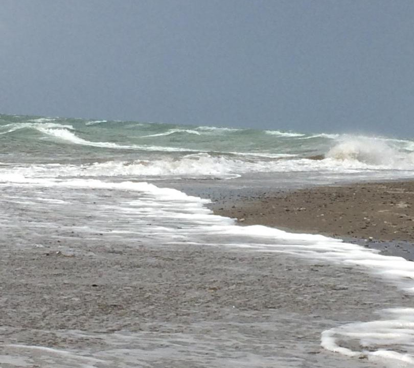 Photo of Others in Marina di Castagneto Carducci
