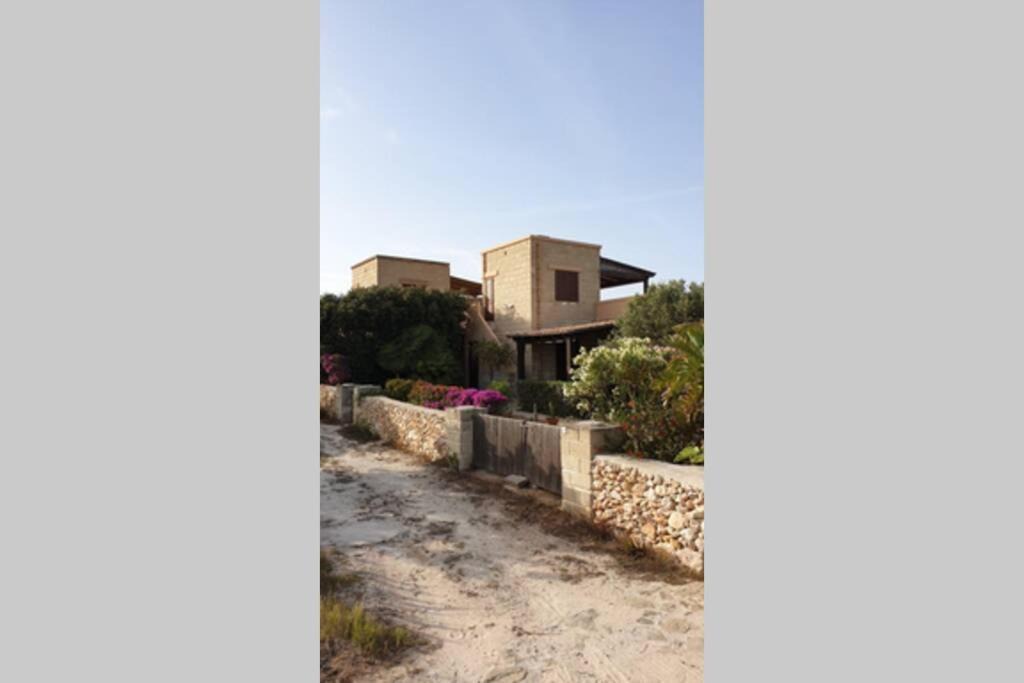 Photo of Others in Favignana