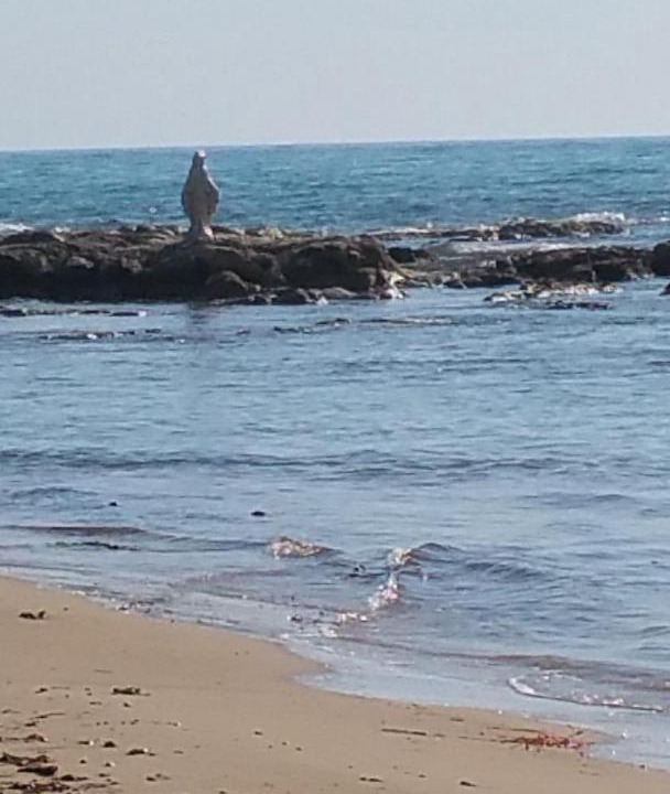 Photo of Outdoor in Siculiana