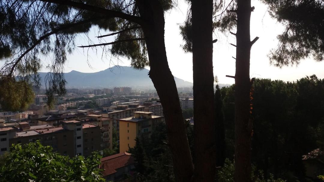 Photo of Others in Palermo