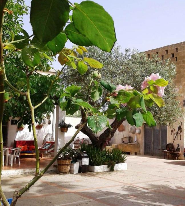 Photo of Others in Marsala