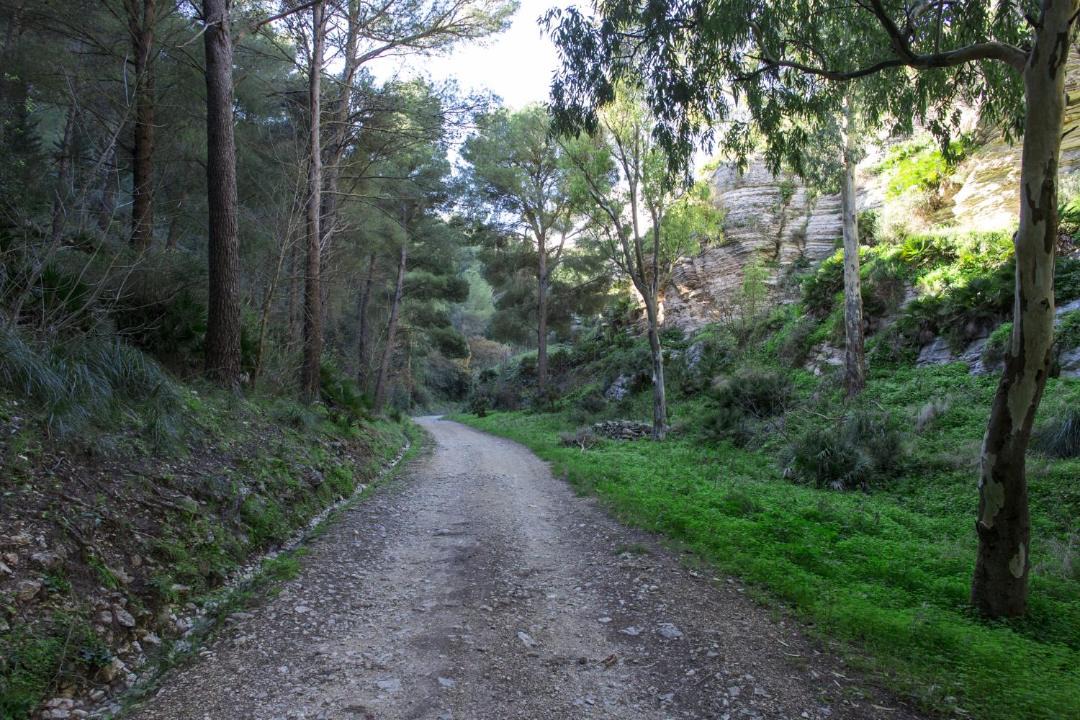 Photo of Others in Calatafimi
