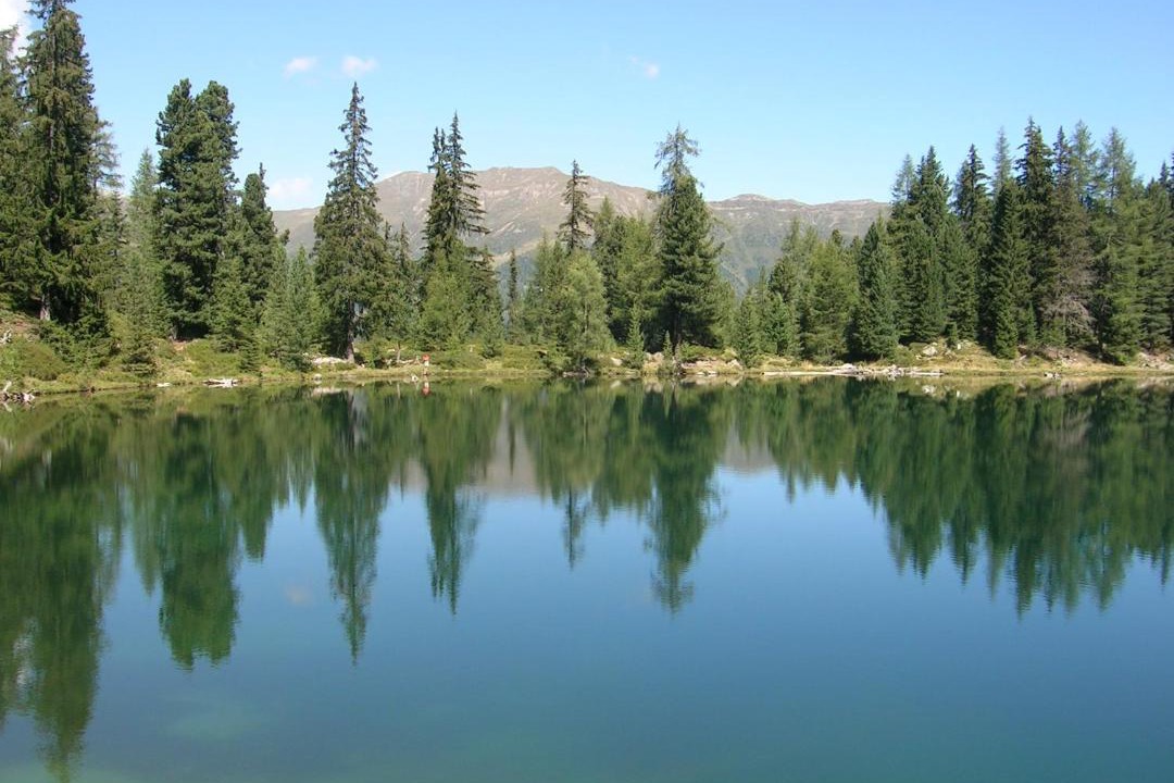 Photo of Others in Selva dei Molini
