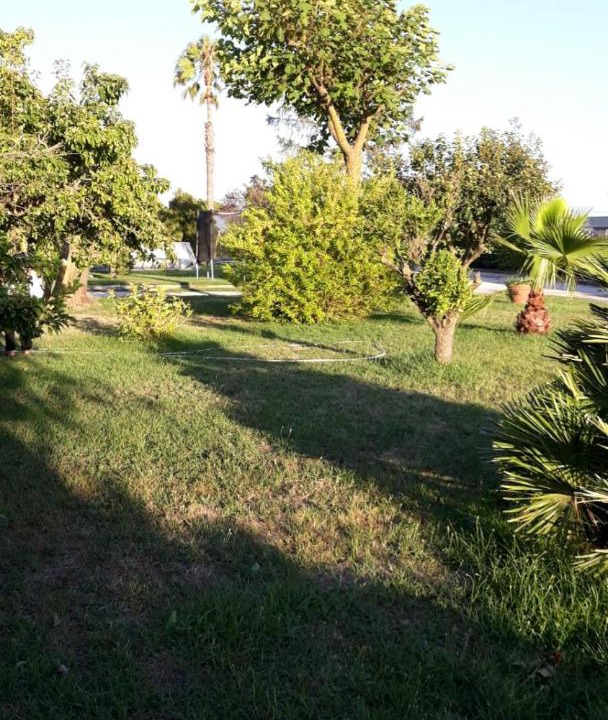 Photo of Others in Nettuno
