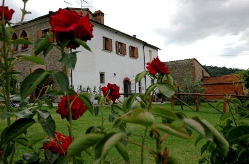 Photo of Others in Pieve al Bagnoro