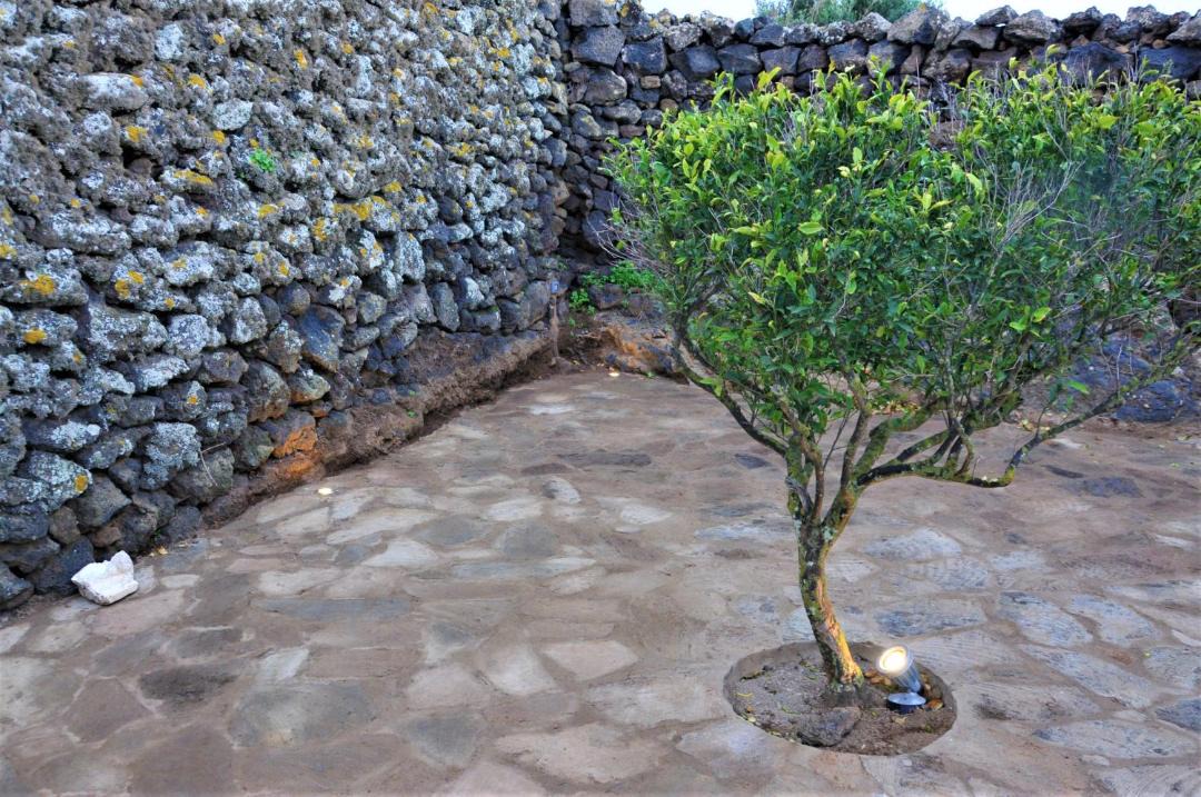 Photo of Others in Pantelleria