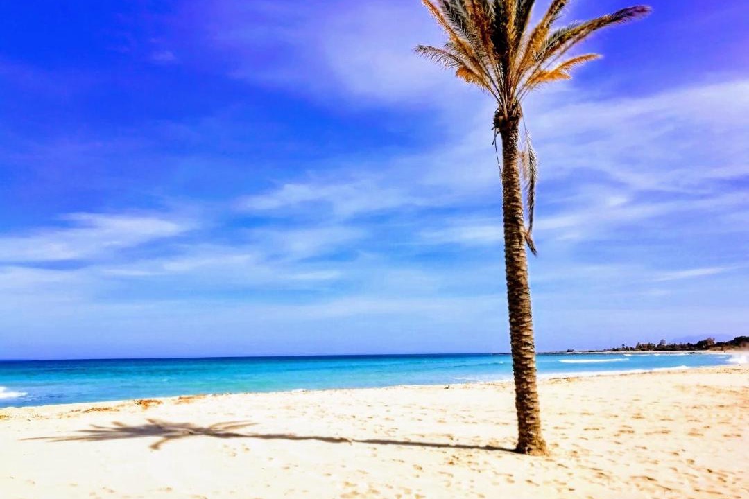Photo of Others in San Vito Lo Capo