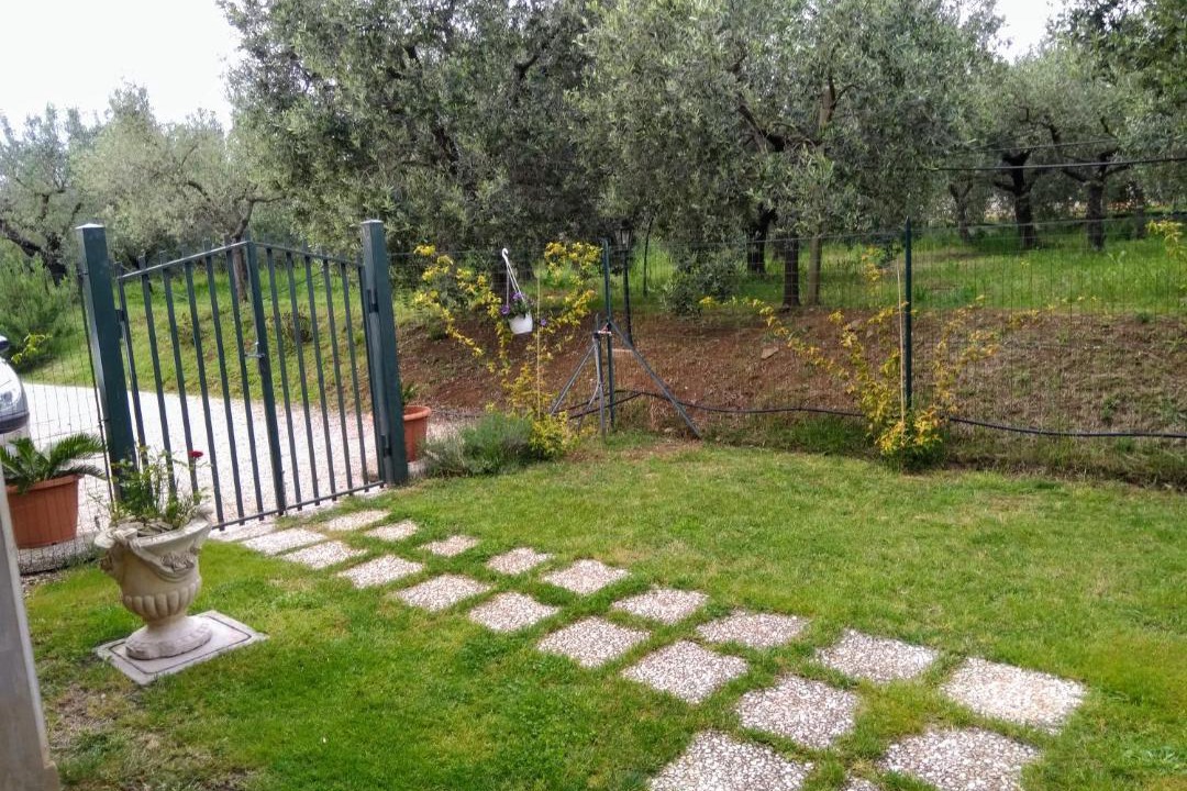 Photo of Others in Ariccia