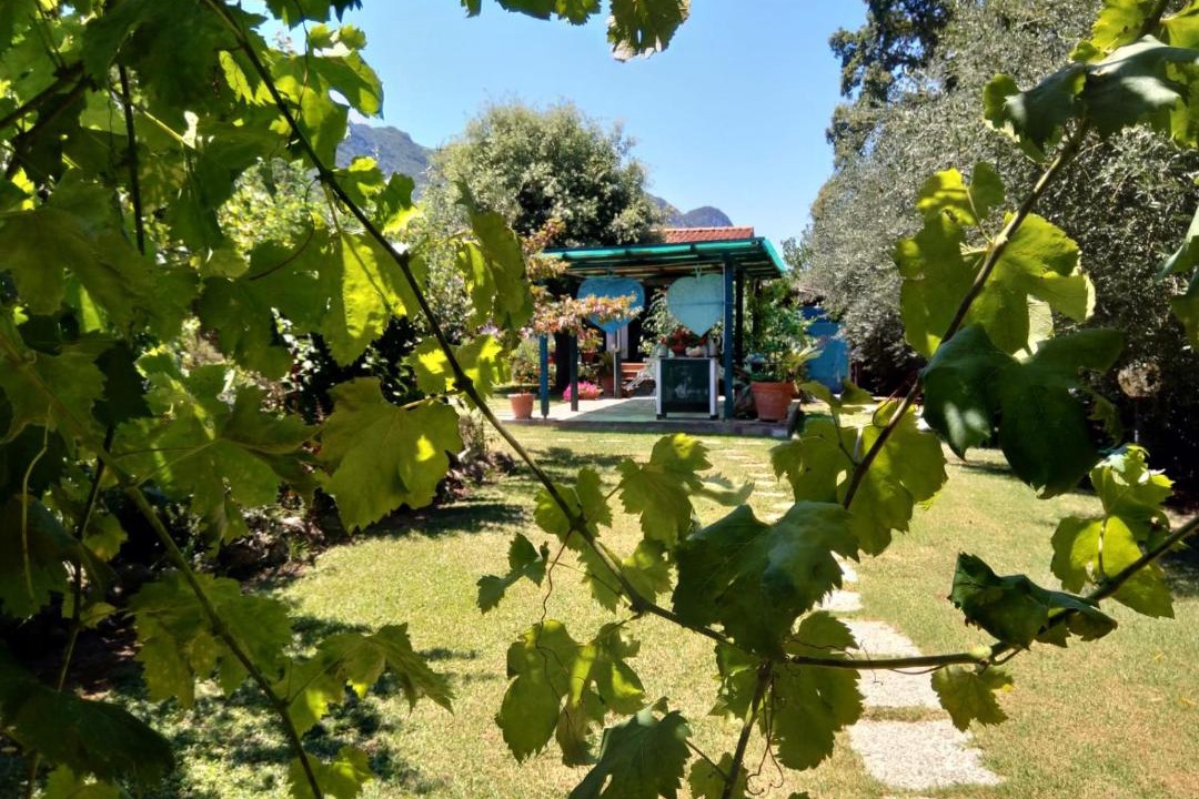 Photo of Others in San Felice Circeo