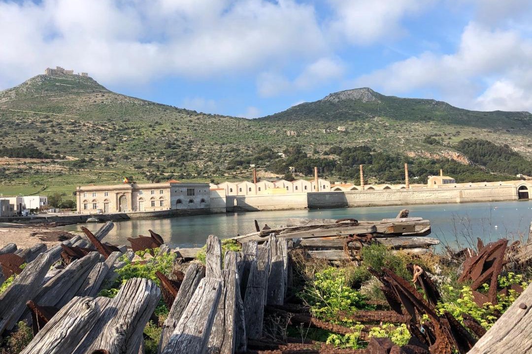 Photo of Others in Favignana