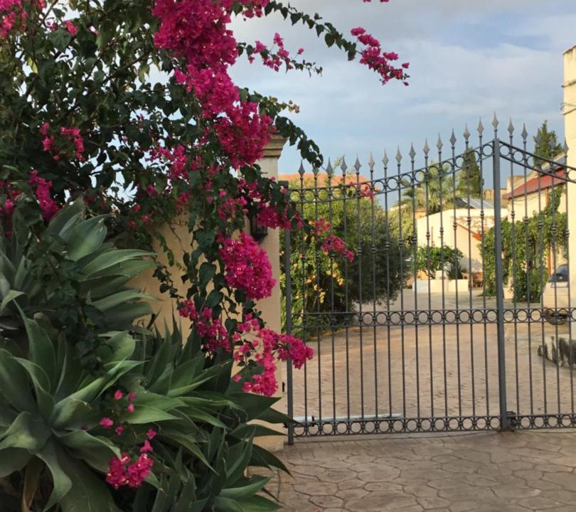 Photo of Others in Marsala