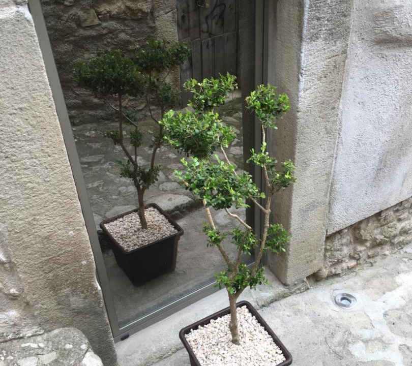 Photo of Others in Montalbano Elicona