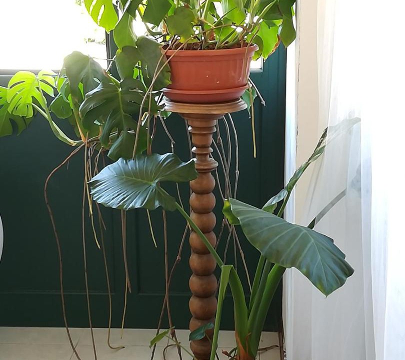 Photo of Patio Balcony in Sinalunga