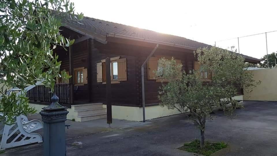 Photo of Others in Ardea