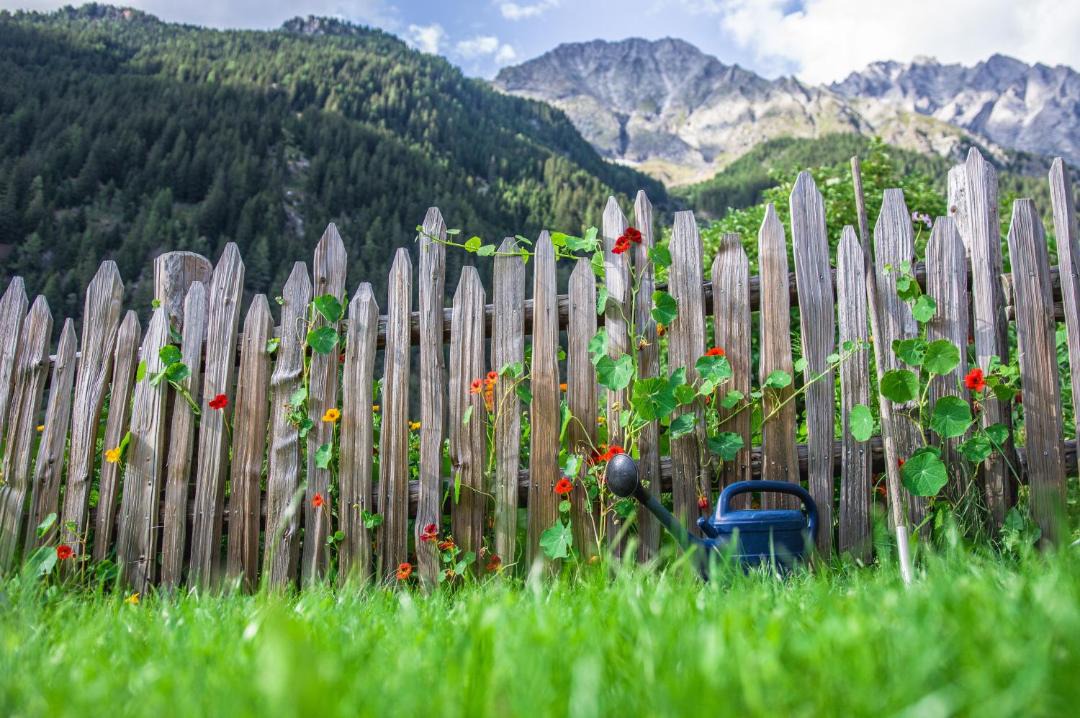 Photo of Others in Anterselva