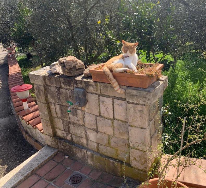 Photo of Others in Sonnino