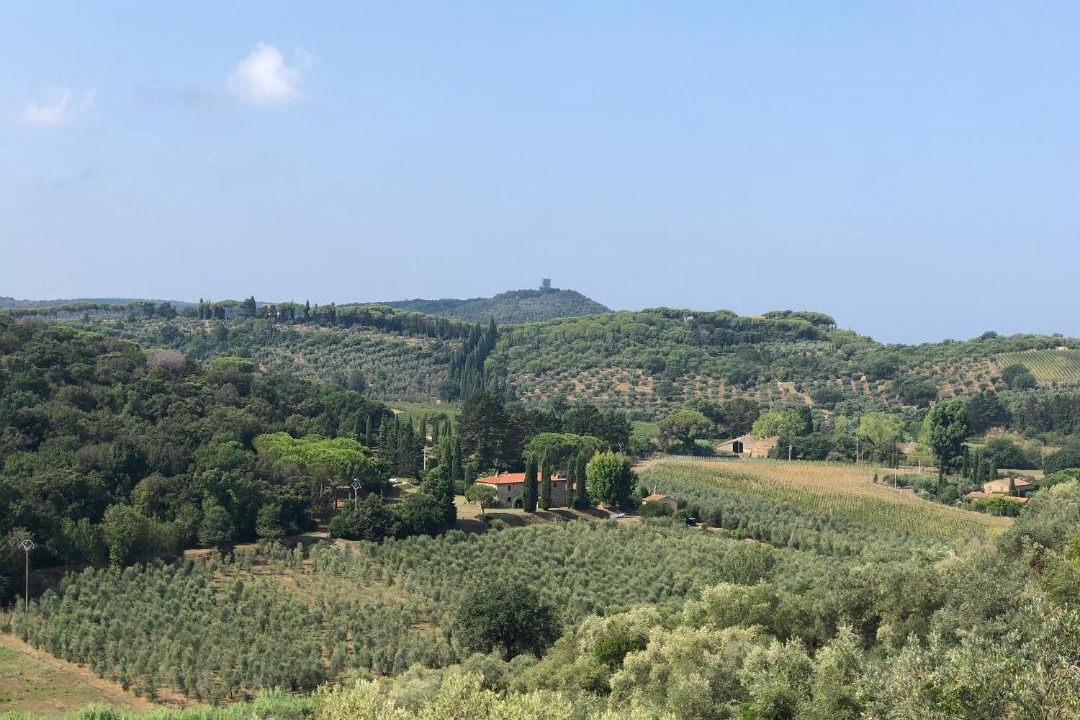 Photo of Outdoor in Castagneto Carducci