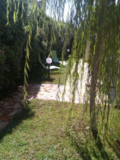 Photo of Others in Marsala