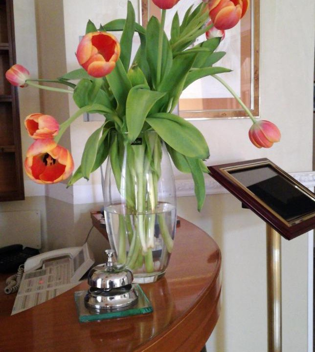 Photo of Livingroom in Fiuggi