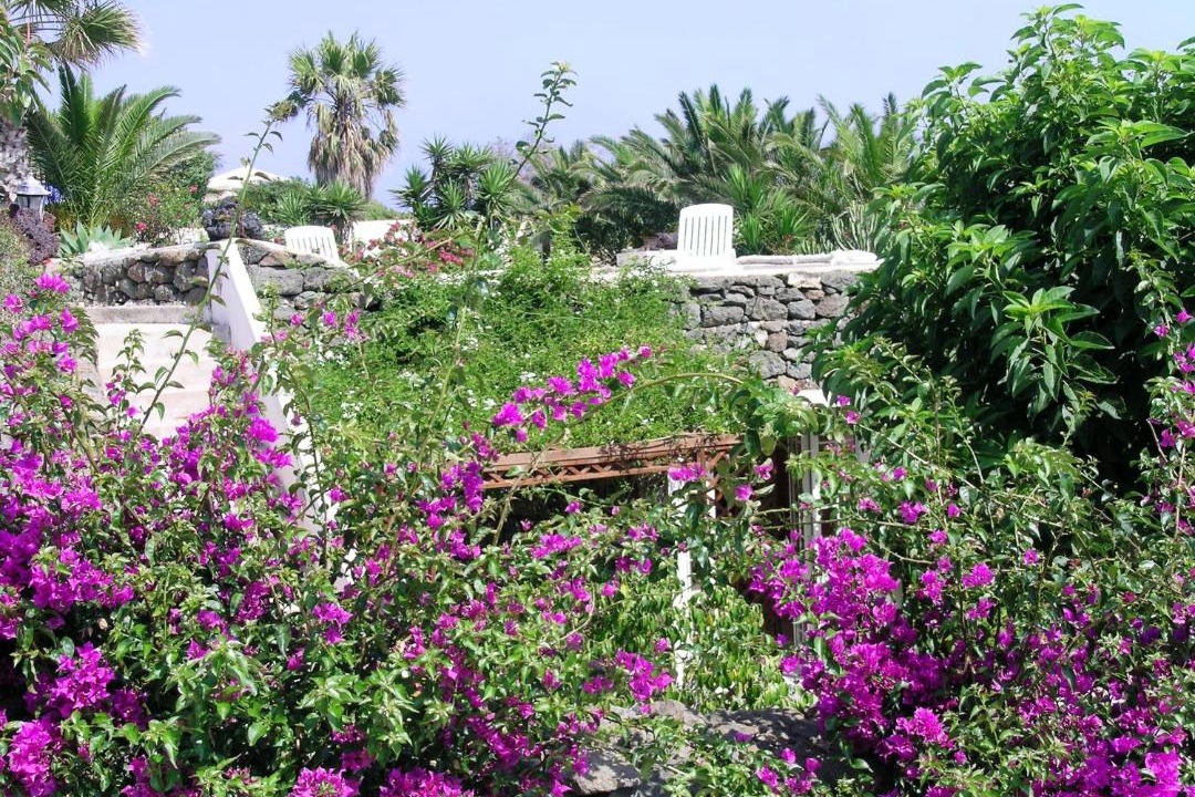 Photo of Others in Pantelleria