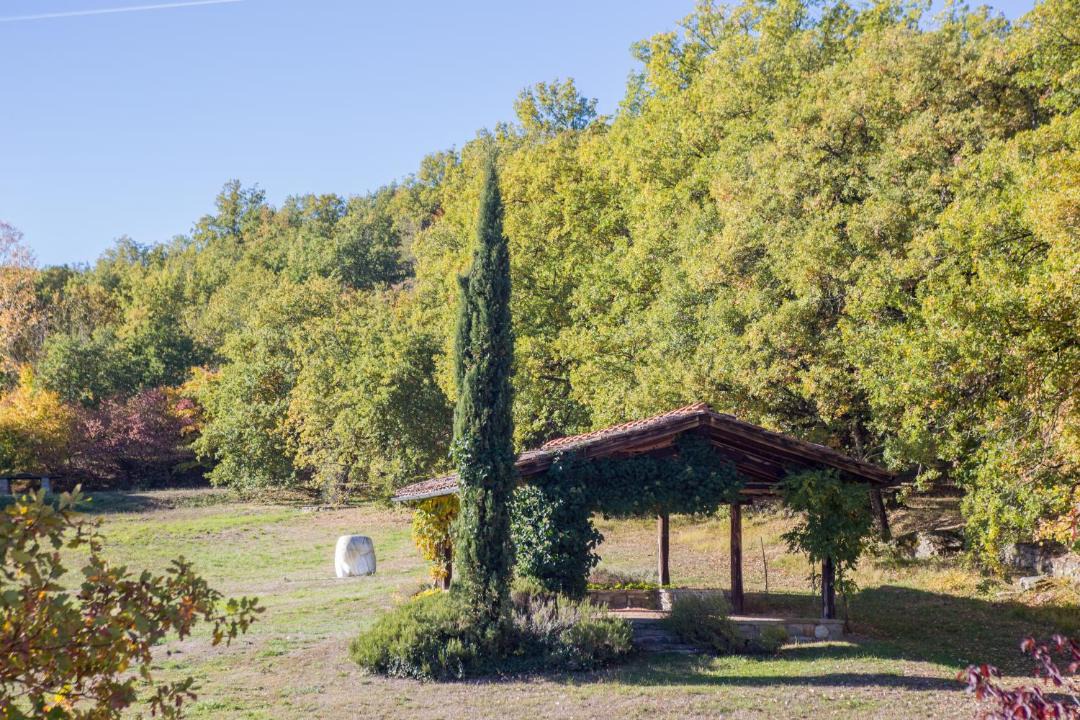 Photo of Others in Starda