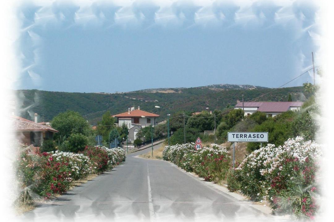 Photo of Others in Narcao