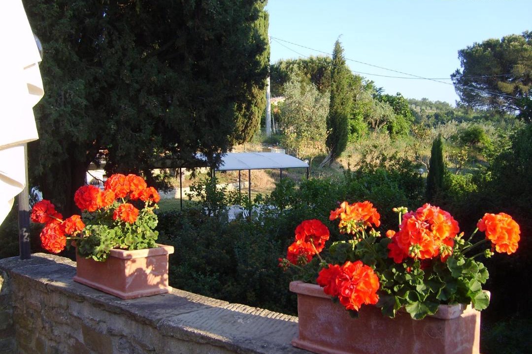Photo of Others in Pieve al Bagnoro