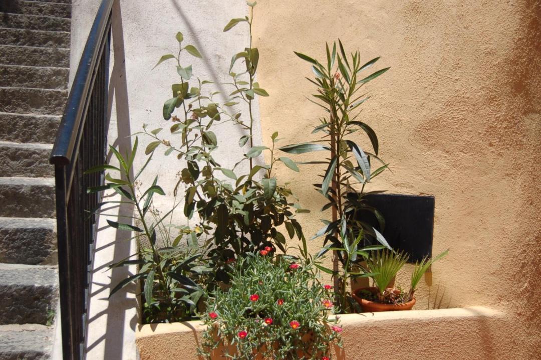 Photo of Others in Sciacca