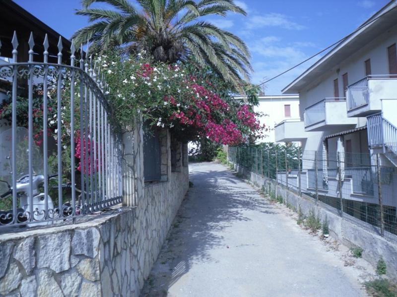 Photo of Others in Alcamo Marina