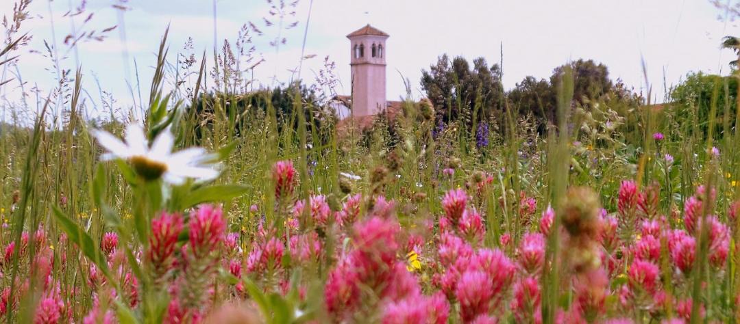 Photo of Others in Cividale del Friuli