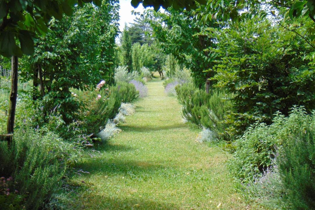 Photo of Others in Cividale del Friuli