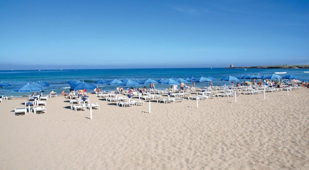 Photo of Others in Terrasini