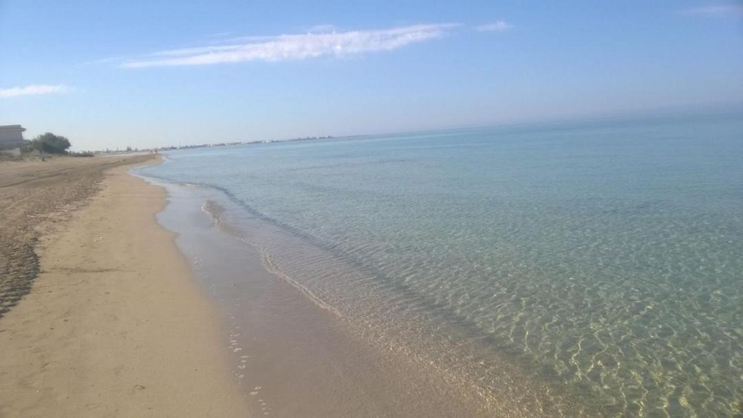 Photo of Others in Marsala