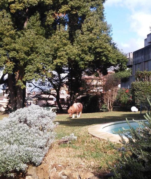 Photo of Outdoor in Camilluccia