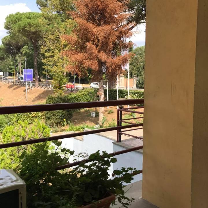 Photo of Others in San Piero a Sieve