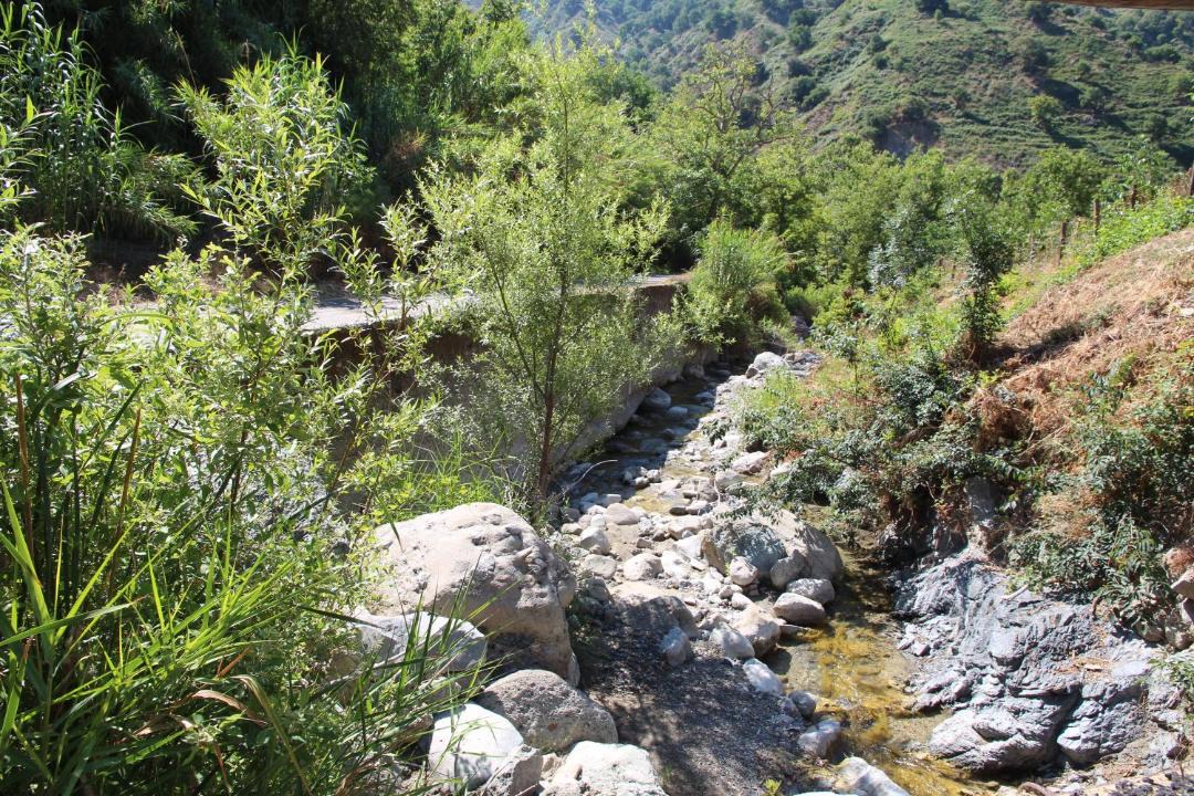 Photo of Others in Motta Camastra